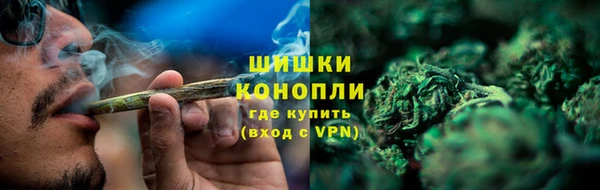 ПСИЛОЦИБИНОВЫЕ ГРИБЫ Медногорск