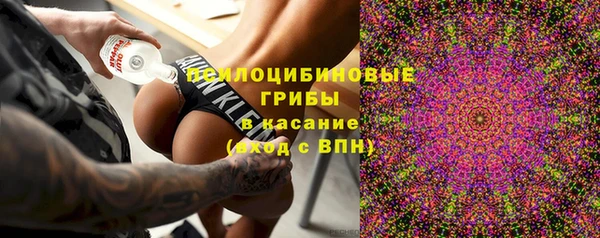 PSILOCYBIN Мегион