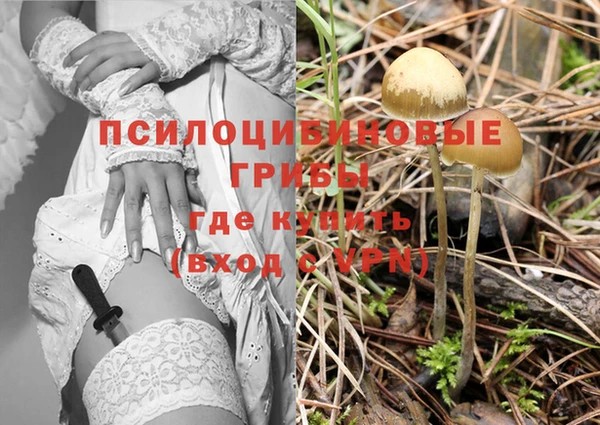 PSILOCYBIN Мегион