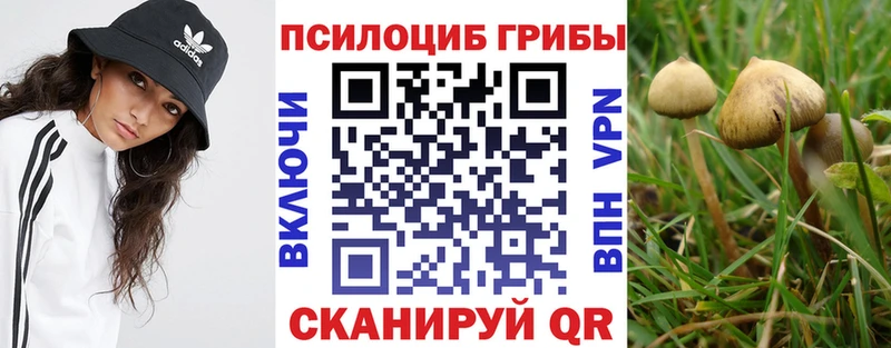 закладка  Шарья  blacksprut ONION  Псилоцибиновые грибы мухоморы 